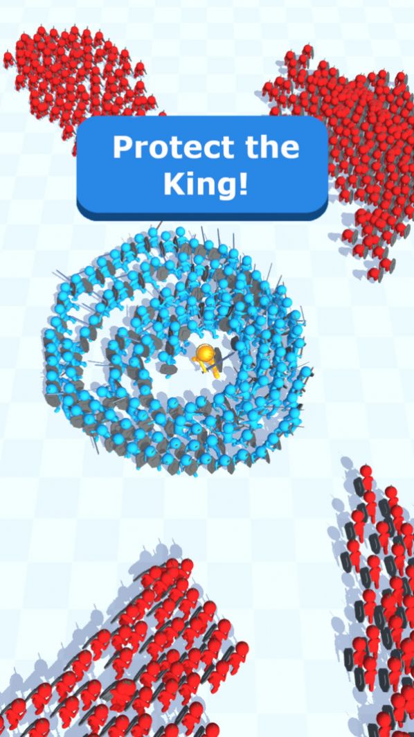 保护我方国王 保护我方国王