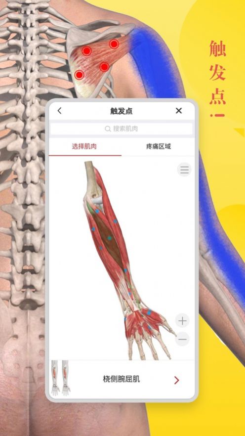 3dbody人体解剖学破解版