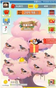 小鸟合成对对碰红包版