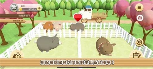 像素养猪场红包版