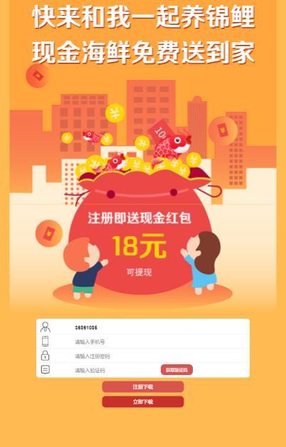 锦鲤星球