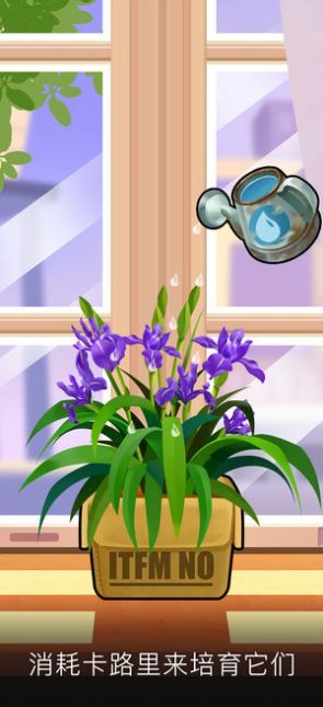 狂暴花园红包版