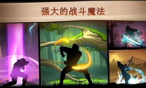 暗影格斗2满级全武器