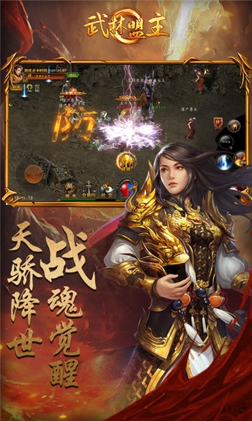 武林盟主三国志