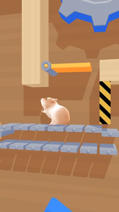 Hamster Maze