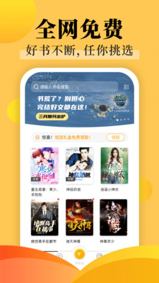 小说王