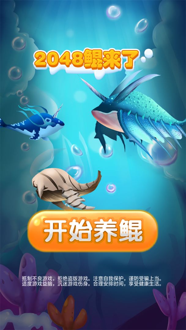 2048鲲来了红包版