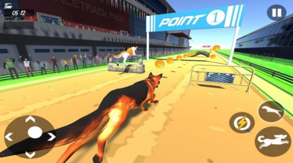 狗狗赛跑3D