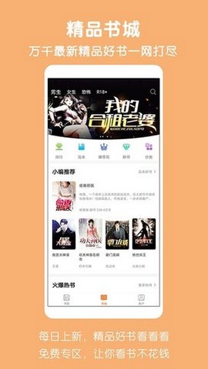 爱奇小说