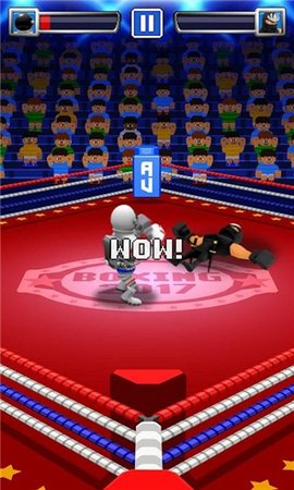 Boxing 2017