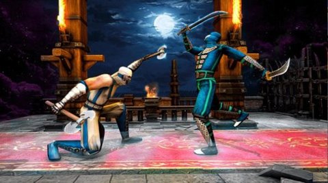 Kung Fu Ninja fight