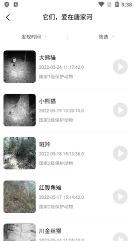 智游青川