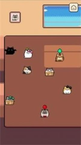 本喵王饿了（hefeedmee）