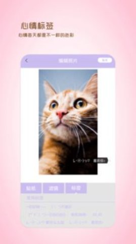 全能美日相机app免费版下载