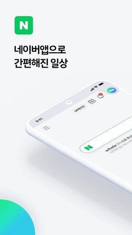 NAVER