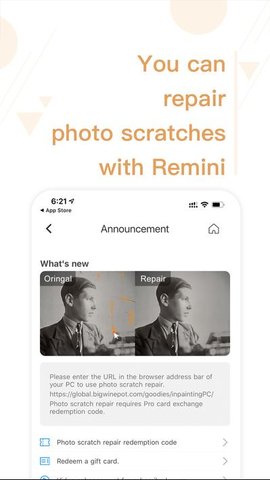 remini remini