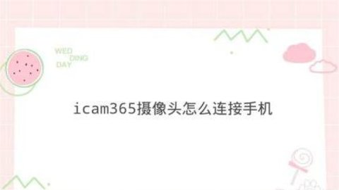 365cam摄像头