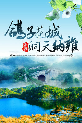 珙桐纳雍
