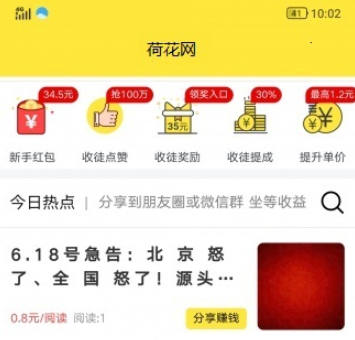 荷花网