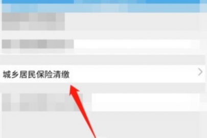 国家社保公共平台