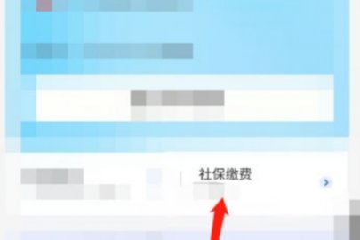 国家社保公共平台