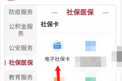 国家社保公共平台