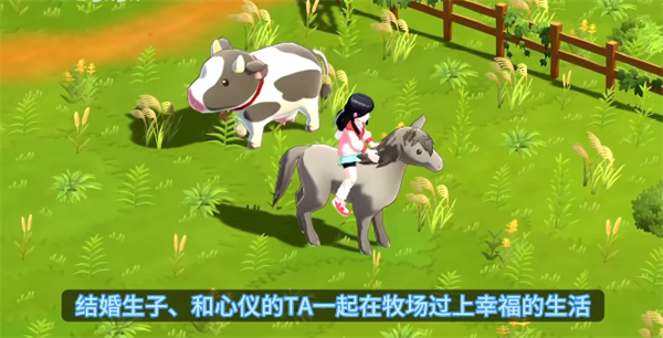 牧场物语甜蜜之家 牧场物语甜蜜之家