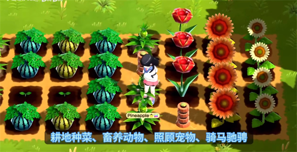 牧场物语甜蜜之家 牧场物语甜蜜之家