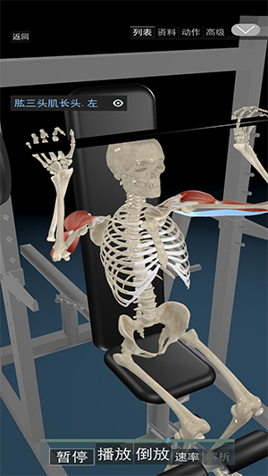 3D运动解剖