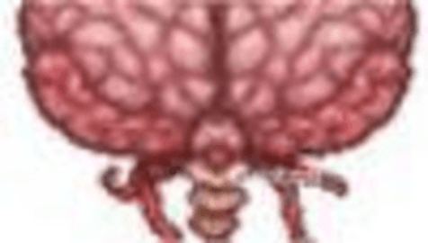泰拉瑞亚汉化版
