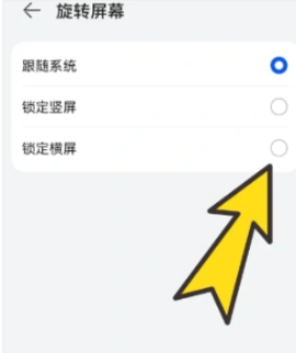 啵啵浏览器最新版