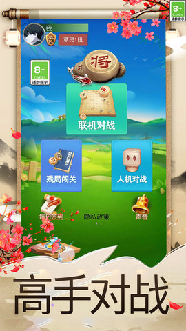 象棋大师