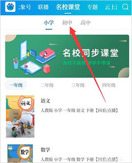 大象新闻最新版