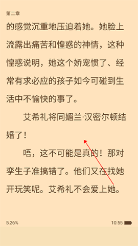 追书大师