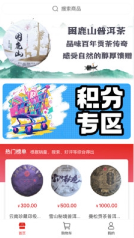 宸智
