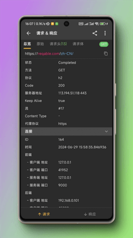 黄鸟抓包(Reqable)