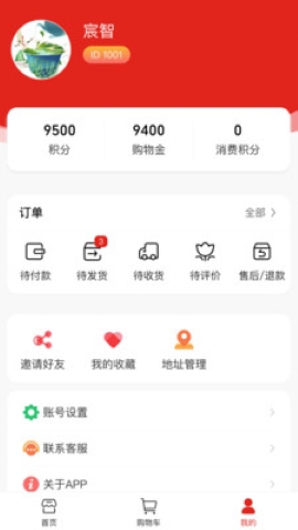 宸智
