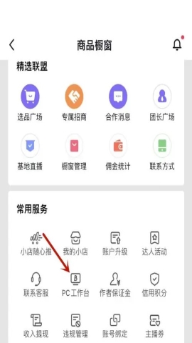 巨量百应
