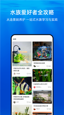 当贝鱼缸