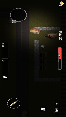 夜袭狗狗突围
