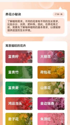 花瓣走路